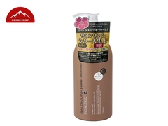 Dầu xả phục hồi hư tổn chiết xuất hoa trà Salonlink 1000ml