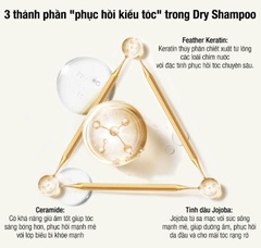 Dầu gội khô tạo kiểu Diane 95g
