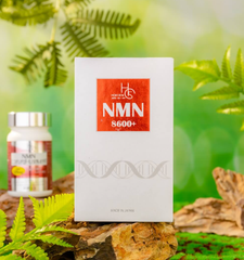 Viên uống hỗ trợ trẻ hóa da NMN - Hokoen