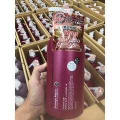 Dầu gội phục hồi tóc hư tổn chiết xuất hoa trà Salonlink amino 1000ml
