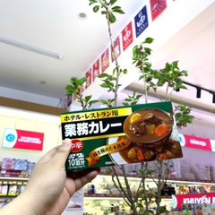 Viên Cari kiểu Nhật Kobe Bussan 200g (Cay vừa)