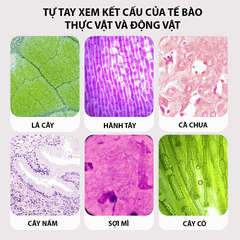 Đồ chơi kính hiển vi trẻ em khám phá thế giới phóng đại lên tới 200 lần