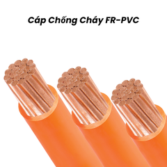 CÁP CHỐNG CHÁY CÁCH ĐIỆN FR-PVC, KHÔNG GIÁP, CÓ VỎ BỌC