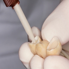 Chất gắn Permacem 2.0 - DMG