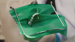 Bộ Đặt Đê Cao Su Rubber Dam