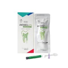 Endoseal MTA