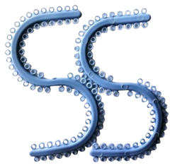 Chun tách kẽ trung quốc