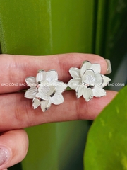 Khuyên tai bạc ta hoa sen