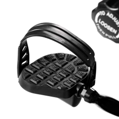 Xe đạp tập leo núi AGS-217