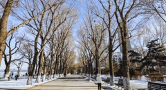 哈爾濱－雪鄉－冰雪節－重慶（七天七夜，特別兩晚雪鄉） CÁP NHĨ TÂN - LÀNG TUYẾT HƯƠNG（2ĐÊM） - LỄ HỘI BĂNG ĐĂNG - TRÙNG KHÁNH（7 NGÀY 7 ĐÊM）