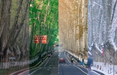 南京－上海－梧桐大道－LV 觀光列車－武康路 （五天四夜） 贈送：1 餐火鍋 & 燒烤自助餐＋烏鎮西柵住宿 1 晚 NAM KINH - THƯỢNG HẢI - ĐẠI LỘ NGÔ ĐỒNG - TÀU LV - PHỐ VŨ KHƯƠNG （5 NGÀY 4 ĐÊM ） Tặng 1 buffe lẩu & BBQ + ngủ 1 đêm ở ô trấn tây