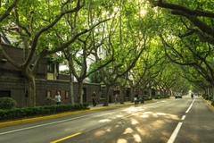 南京－上海－梧桐大道－LV 觀光列車－武康路 （五天四夜） 贈送：1 餐火鍋 & 燒烤自助餐＋烏鎮西柵住宿 1 晚 NAM KINH - THƯỢNG HẢI - ĐẠI LỘ NGÔ ĐỒNG - TÀU LV - PHỐ VŨ KHƯƠNG （5 NGÀY 4 ĐÊM ） Tặng 1 buffe lẩu & BBQ + ngủ 1 đêm ở ô trấn tây