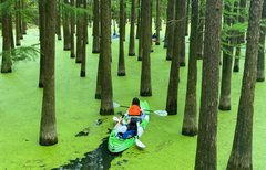 上海 － 三國電影製片廠 － 青山湖 － 武康路（5天4夜） THƯỢNG HẢI - PHIM TRƯỜNG TAM QUỐC THÀNH - HỒ THANH SƠN - PHỐ VŨ KHƯƠNG（5NGÀY 4 ĐÊM ）