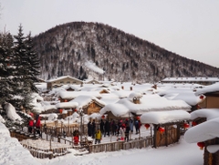 哈爾濱－雪鄉－冰雪節－重慶（七天七夜，特別兩晚雪鄉） CÁP NHĨ TÂN - LÀNG TUYẾT HƯƠNG（2ĐÊM） - LỄ HỘI BĂNG ĐĂNG - TRÙNG KHÁNH（7 NGÀY 7 ĐÊM）
