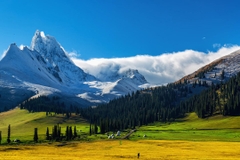 哈爾濱－雪鄉－冰雪節－重慶（七天七夜，特別兩晚雪鄉） CÁP NHĨ TÂN - LÀNG TUYẾT HƯƠNG（2ĐÊM） - LỄ HỘI BĂNG ĐĂNG - TRÙNG KHÁNH（7 NGÀY 7 ĐÊM）