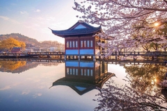 上海 － 三國電影製片廠 － 青山湖 － 武康路（5天4夜） THƯỢNG HẢI - PHIM TRƯỜNG TAM QUỐC THÀNH - HỒ THANH SƠN - PHỐ VŨ KHƯƠNG（5NGÀY 4 ĐÊM ）