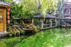 昆明 - 大理 - 麗江 - 香格里拉 - 雪山（六天五夜） CÔN MINH - ĐẠI LÝ - LỆ GIANG - NÚI TUYẾT ( 6 ngày 5 đêm )