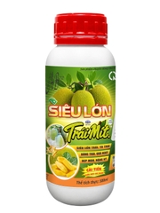 Siêu Lớn Trái Mít 500ml