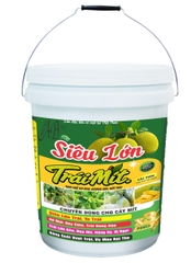 Xô Siêu Lớn Trái Mít