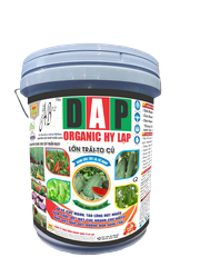 XÔ DAP 22kg