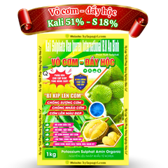 VÔ CƠM - ĐẦY HỘC " Chuyên Nuôi Trái " Hy Lạp