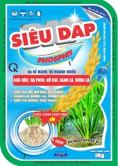 Siêu DAP phosphit