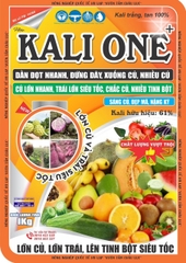 Kali One 61%