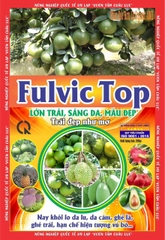 Fulvic Top 250gr
