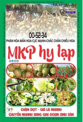 Chặn Đọt, Tạo Mầm 0-52-34 1kg