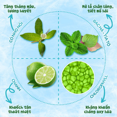 Khăn hạ sốt Dr.Papie