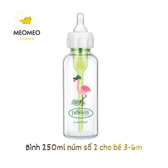 Bình sữa hoạ tiết thuỷ tinh Dr.Brown's Option Plus cổ hẹp