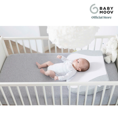 Gối chống trào ngược Babymoov Cosymat