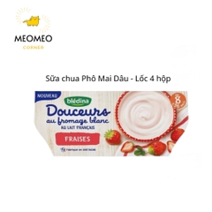 Sữa chua nguội Bledina cho bé từ 6 tháng tuổi của Pháp