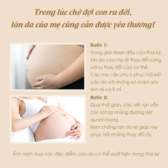 Kem Chống Rạn Thuần Chay Belly Cream ATONO2 200ml