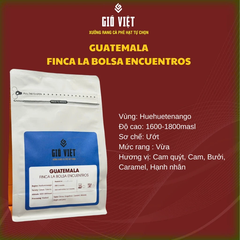 Cà phê Gió Việt Guatemala Huehuetenango - Medium roast - Gói 250gr