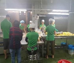 Vietnam Frozen fresh Durian naturally ripe and sofe/ irradiated frozen product