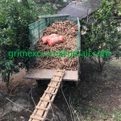 Hot Sale Frozen Cassava Skinless High Quality Vegetable at Inexpensive Price Agriculture Includes Onion Lettuce Beans Cucumber