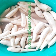Hot Sale Frozen Cassava Skinless High Quality Vegetable at Inexpensive Price Agriculture Includes Onion Lettuce Beans Cucumber