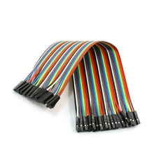 Dây bus, dây bẹ cái-cái 20cm (10 sợi)