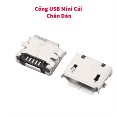 [10 pcs ] usb micro dán