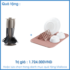 Bếp gas âm 2 gas Malloca AS-9602DG