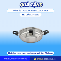 Bếp kính âm 3 từ Malloca MH-5903 IN
