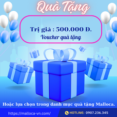 Chậu rửa chén Malloca MS 2025