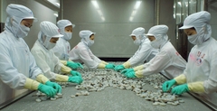 ĐƠN HÀNG CHẾ BIẾN THỰC PHẨM, THỦY HẢI SẢN