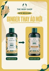 Dầu gội gừng Ginger Scalp Care Shampoo The Body Shop
