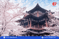 Du lịch Tây An: Tour Trịnh Châu – Khai Phong – Tiêu Tác – Đăng Phong – Lạc Dương – Tam Môn Hiệp – Tây An 6 Ngày 5 Đêm từ Tp. HCM