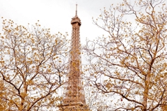 Dịch vụ Tư vấn Visa Châu Âu