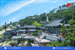 Tour Hàn Quốc 6 Ngày 5 Đêm: Busan - Daegu - Seoul Khám phá xứ sở kim chi