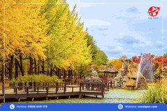 Tour Hàn Quốc: Seoul - Nami - Everland 5 Ngày 5 Đêm từ Tp. HCM