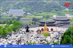 Tour Hàn Quốc: Seoul - Nami - Everland 5 Ngày 5 Đêm từ Tp. HCM